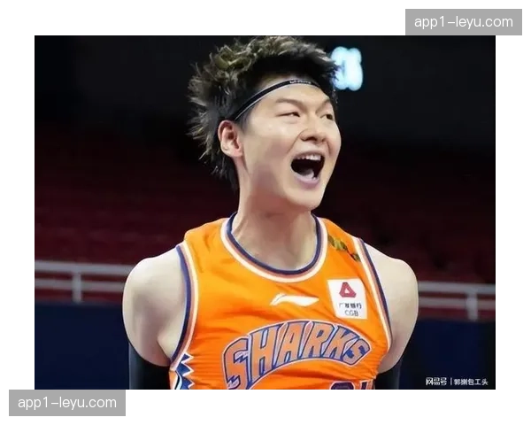 王哲林高位策应传球见效 上海队内线配合日趋成熟 王哲林高位策应传球见效 上海队内线配合日趋成熟